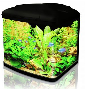 Fish Pod 48L Aquarium - CF1