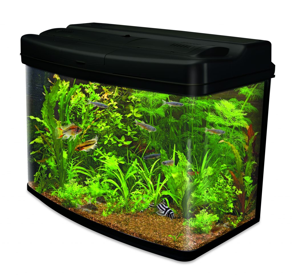 Fish Pod 64L Aquarium - CF2