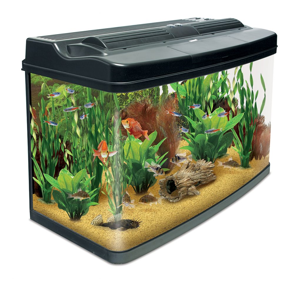 Fish Pod 120L Aquarium - CF3