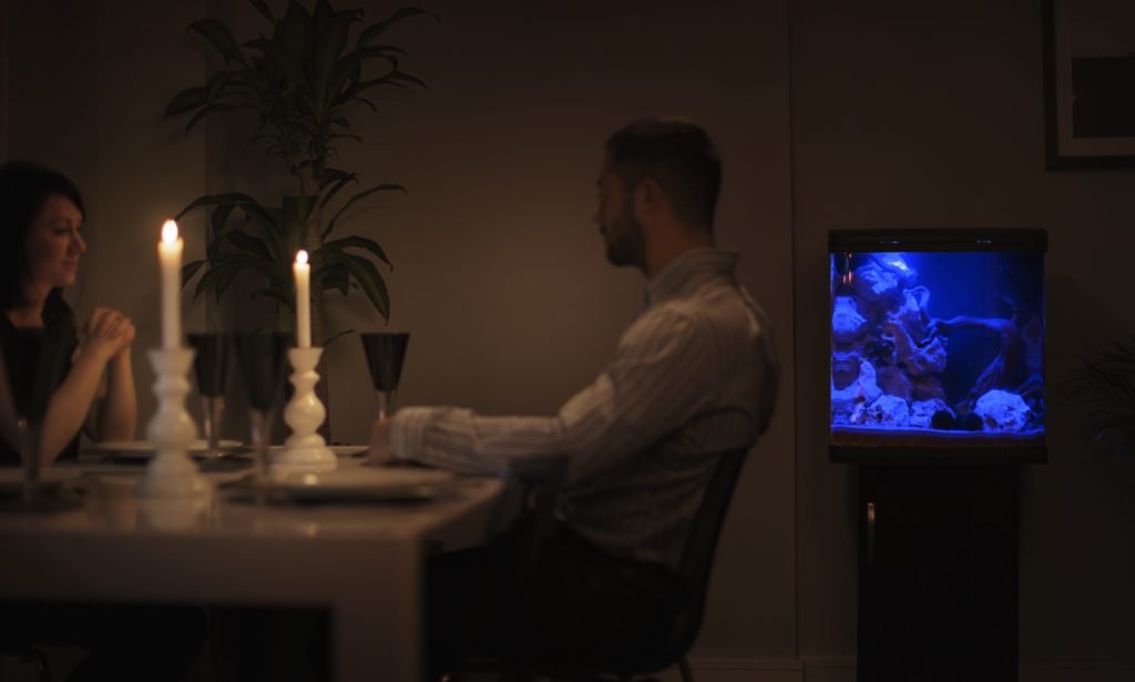 River Reef LED Aquarium - 48L - Image 5