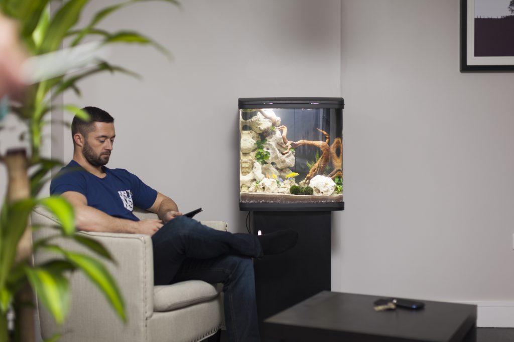 River Reef LED Aquarium - 48L - Image 4