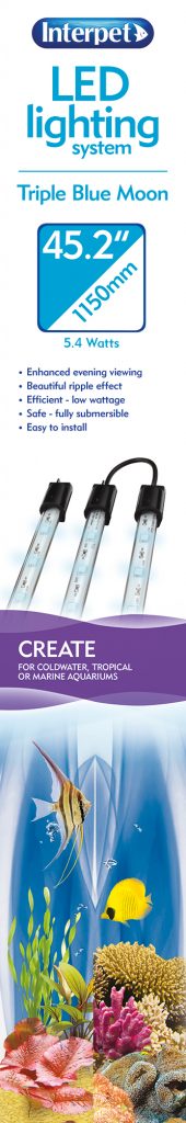 LED Bright Blue Moon Triple System - 3 x 36cm - Image 3