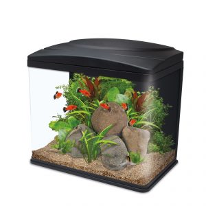 Fish Box LED Aquarium - 30L