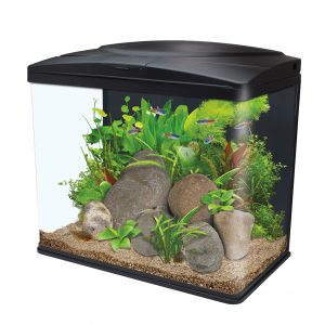Fish Box LED Aquarium - 54L