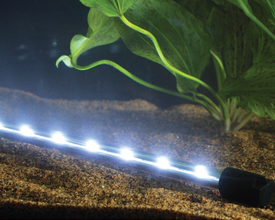 LED SYS BRIGHT WHITE 2 x 36cm