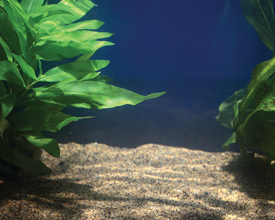 LED SYS MULTI COLOUR 1 x 36cm