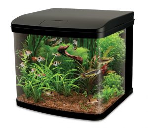 River Reef LED Aquarium - 48L