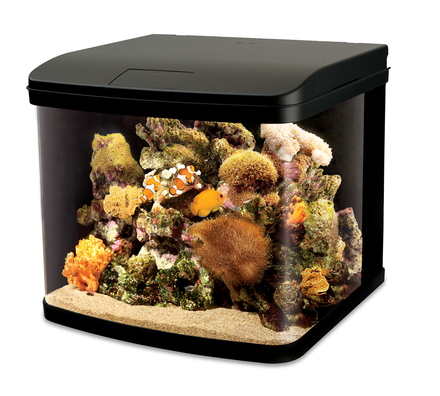 River Reef LED Aquarium - 48L - Image 2