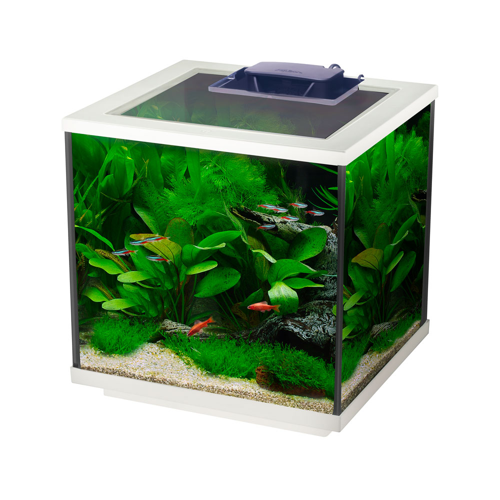 AquaCube LED Aquarium