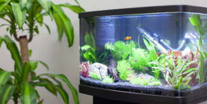 Aquarium Spare Parts