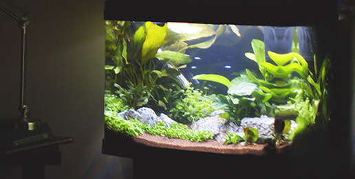 lighting-night-bulbs-fitting