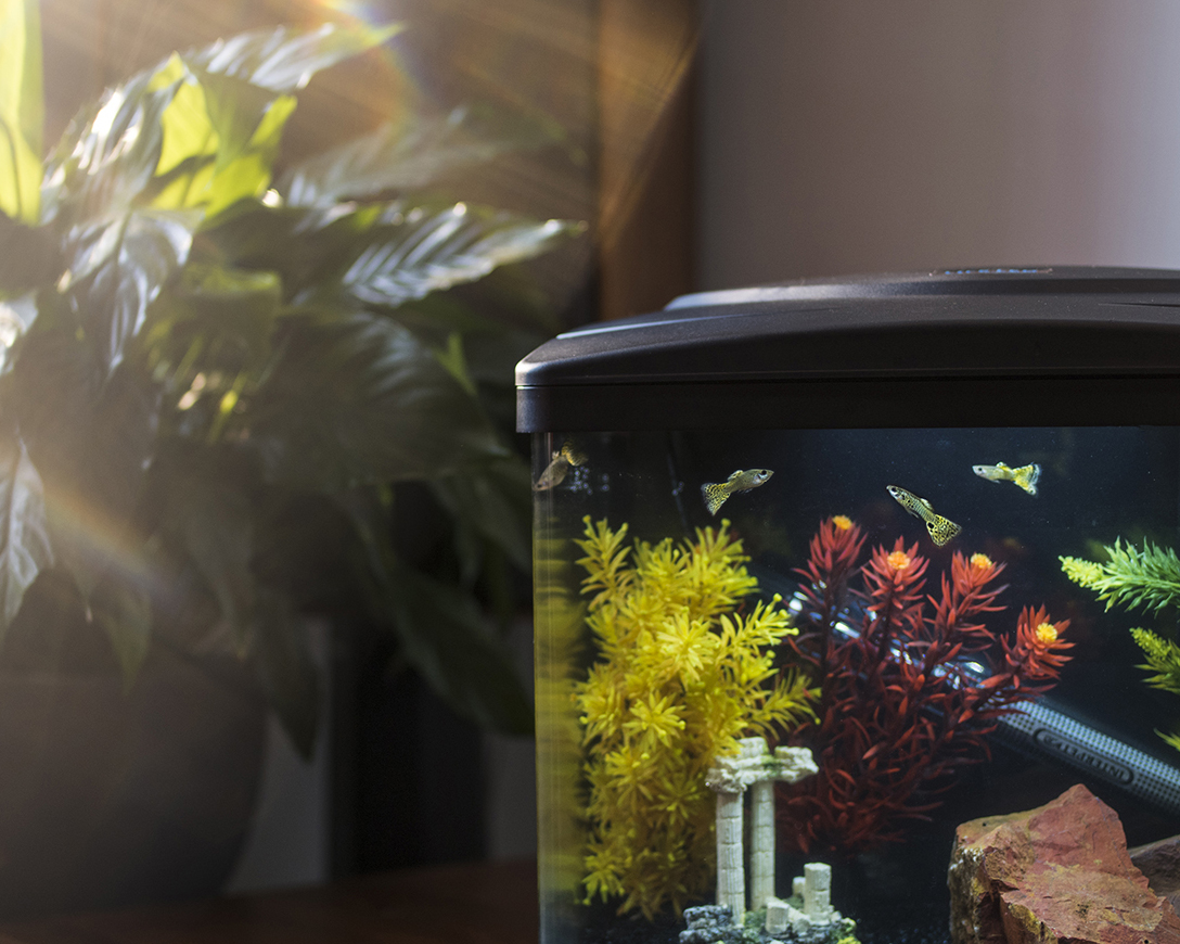 AP4 AQUARIUM AIR PUMP WITH PLUG