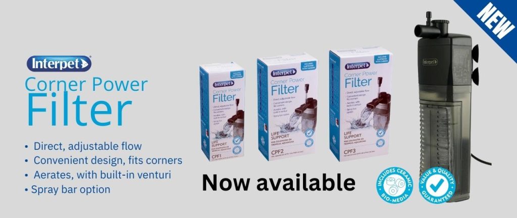 Corner Power Filter Banner (1280 × 540px) (4)