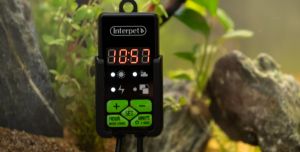 Lighting Controllers