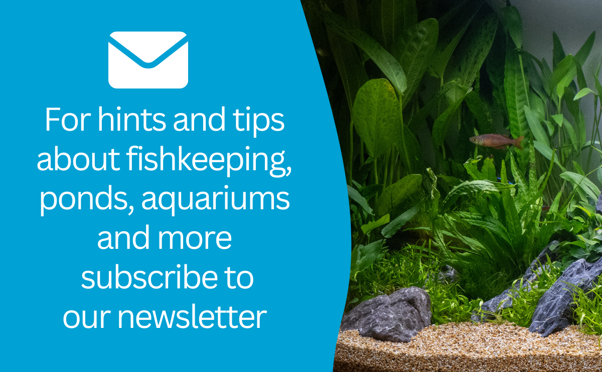 Newsletter-Sign up - Mob