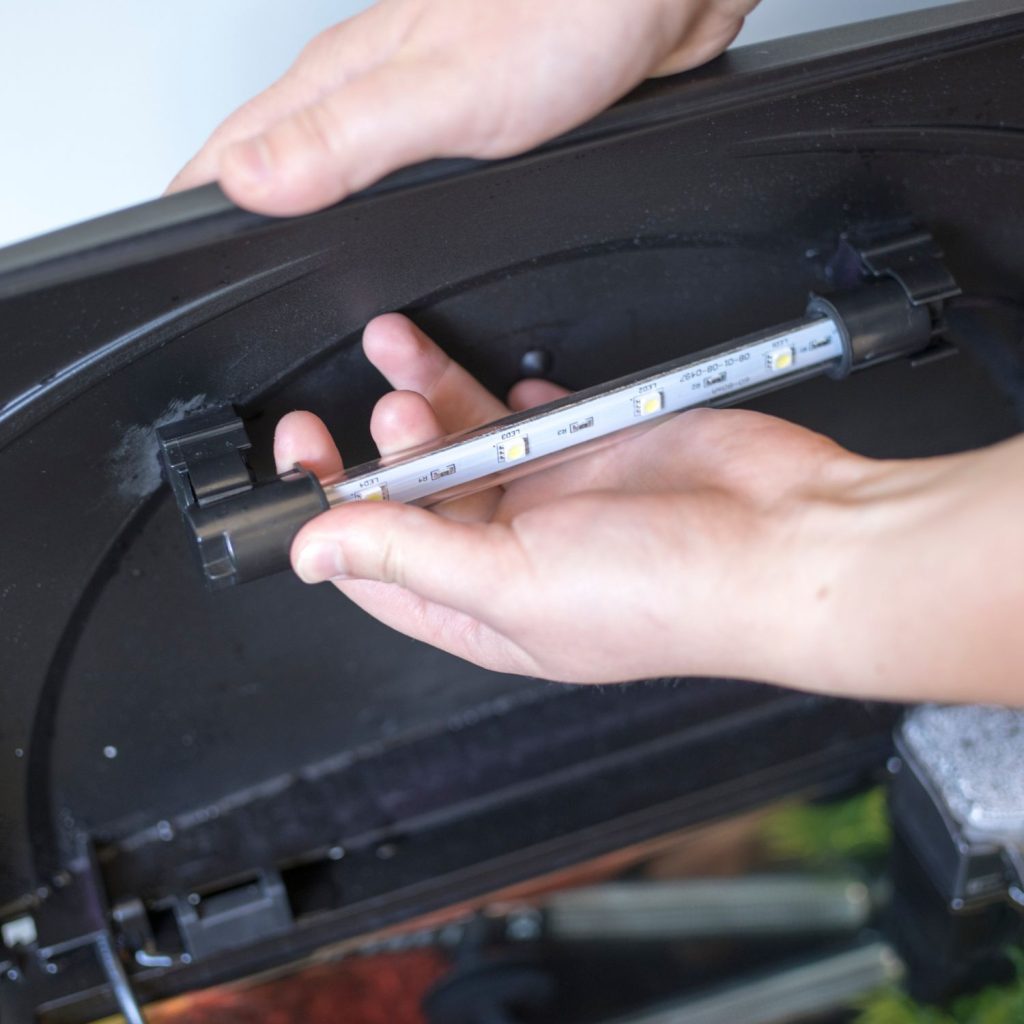 LED Light 20cm Blue and White - Image 5